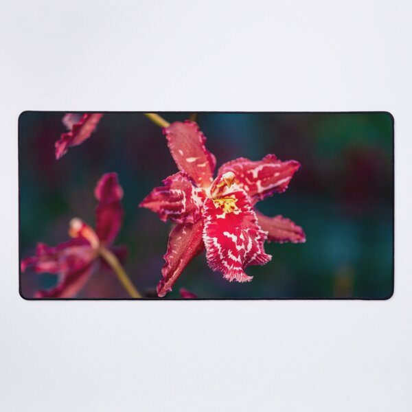Item preview, orchid flower designed and sold by OskiOnTour.