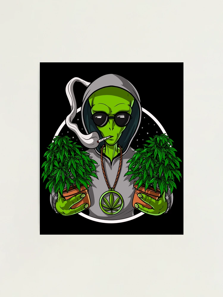 Photo/Stoner 写真集 Alien Weed Stoner