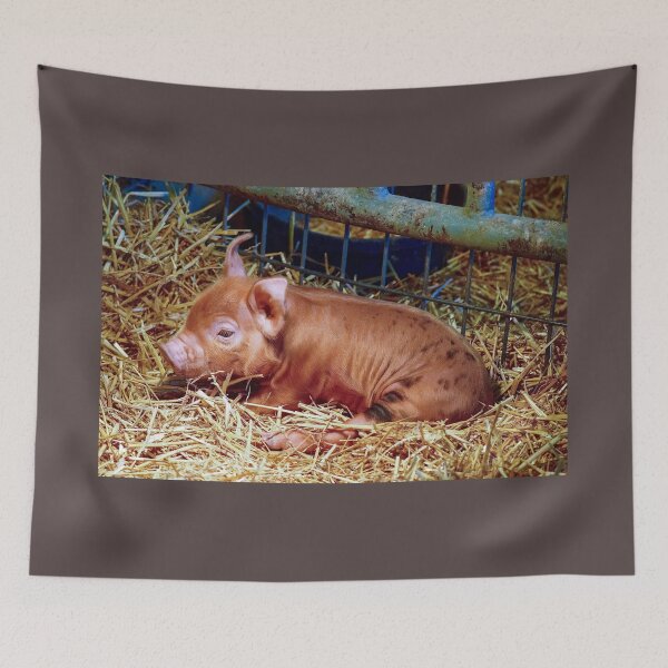 Item preview, Sleepy Brown-Spotted Piglet designed and sold by Creatively Colette’s .