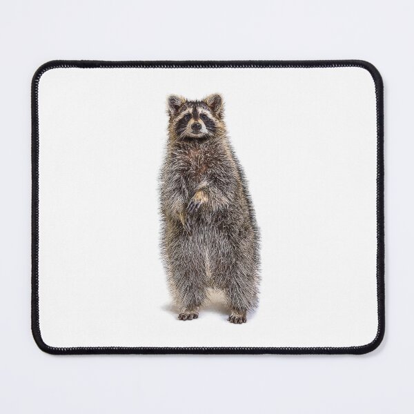 Item preview, Cute Vintage American Raccoon Face, Cute Raccoon Face Oil Paint, Procyon Lotor Raccoon Fine Art, Adorable Fluffy Raccoon Face designed and sold by Trendymotion.