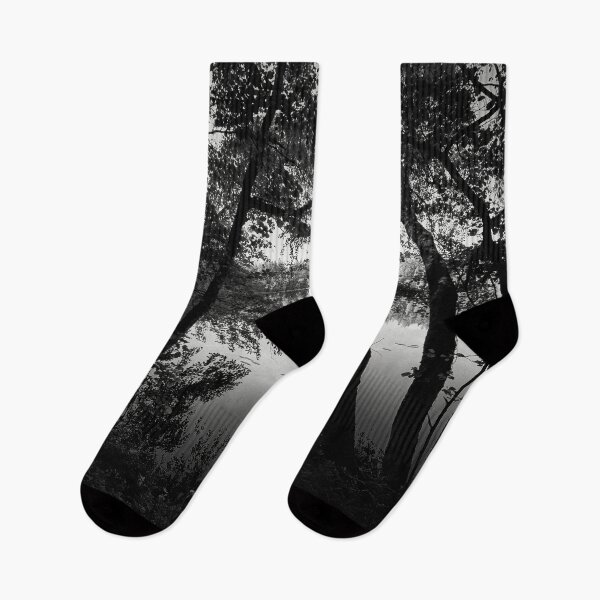 Item preview, Trees in the shadow bw designed and sold by Jouko Lehto Photography.