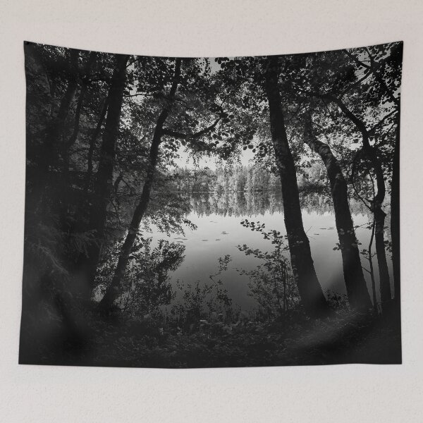 Item preview, Trees in the shadow bw designed and sold by Jouko Lehto Photography.