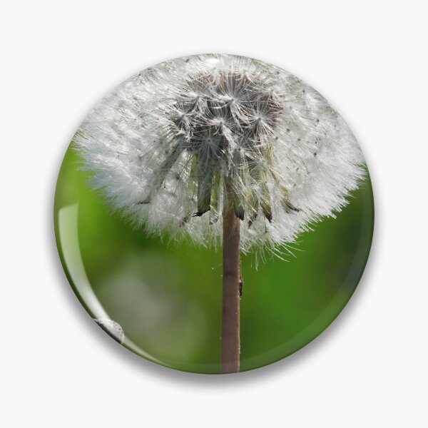 Item preview, One loaded one fired. Dandelion designed and sold by Jouko Lehto Photography.