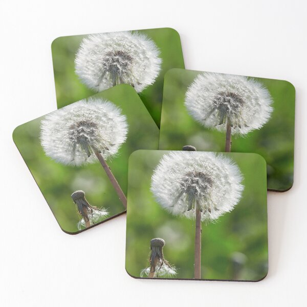 Item preview, One loaded one fired. Dandelion designed and sold by Jouko Lehto Photography.