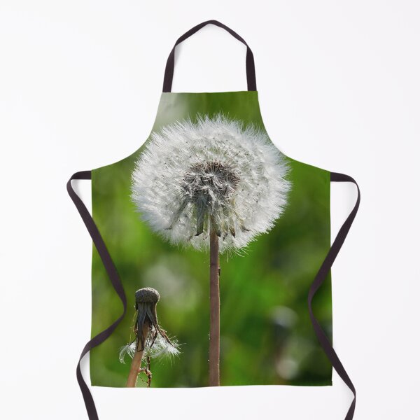 Item preview, One loaded one fired. Dandelion designed and sold by Jouko Lehto Photography.