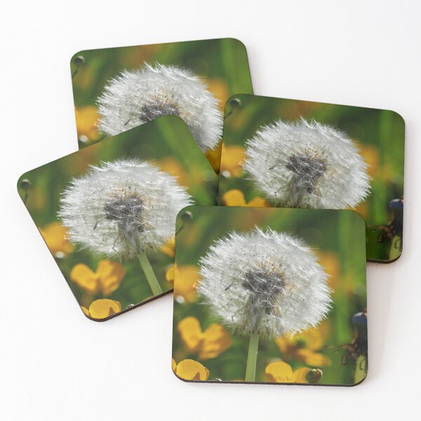 Item preview, Dandelion and buttercups designed and sold by Jouko Lehto Photography.