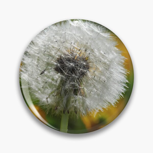 Item preview, Dandelion and buttercups designed and sold by Jouko Lehto Photography.
