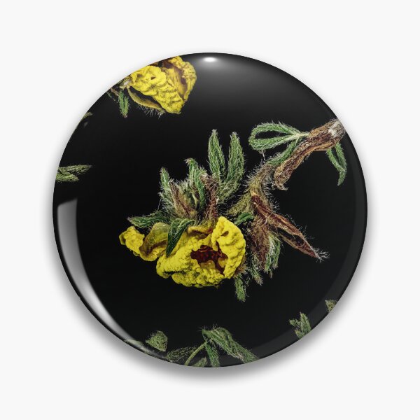 Item preview, Bracken designed and sold by AntSmith.