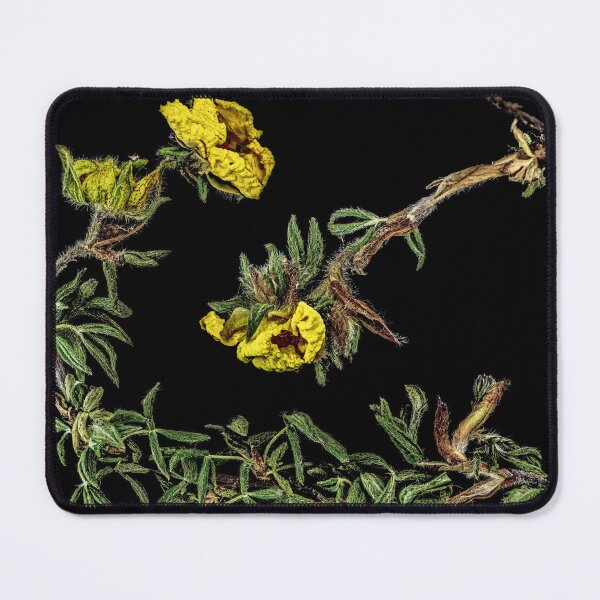Item preview, Bracken designed and sold by AntSmith.