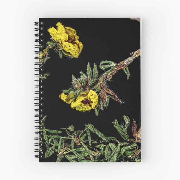 Item preview, Bracken designed and sold by AntSmith.