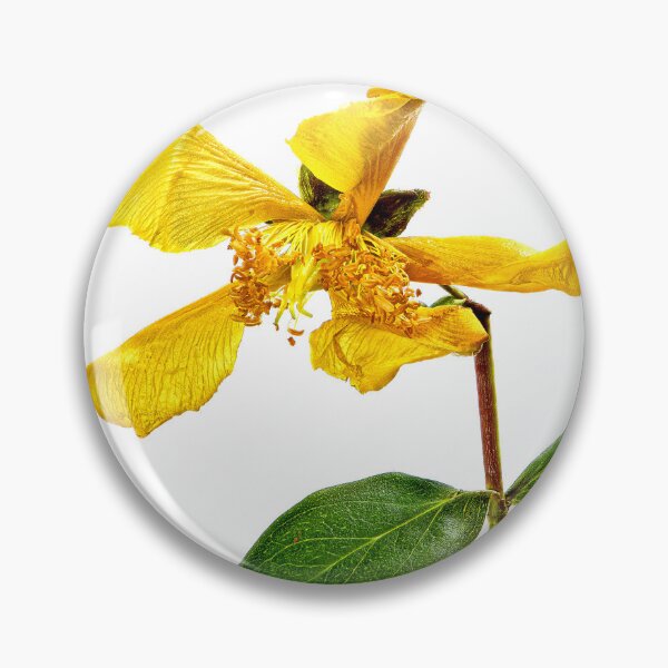 Item preview, Propellerhead designed and sold by AntSmith.