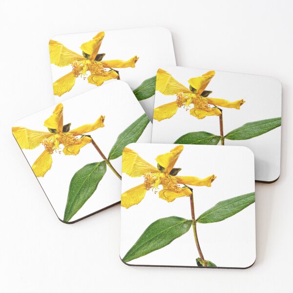 Item preview, Propellerhead designed and sold by AntSmith.