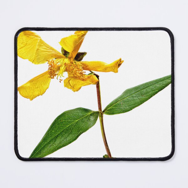 Item preview, Propellerhead designed and sold by AntSmith.