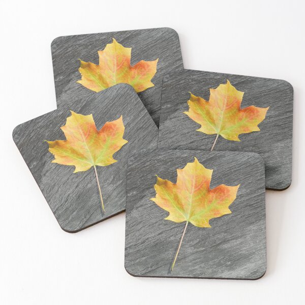 Item preview, Life Cycle of a Maple Leaf designed and sold by Kathilee.