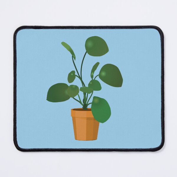 Item preview, Chinese money plant designed and sold by Bwiselizzy.