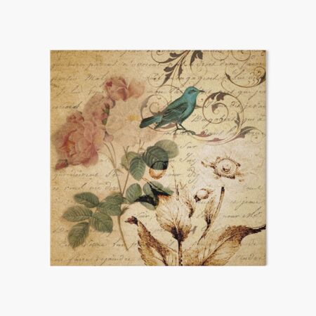 modern vintage rose bird paris french botanical art Art Board Print