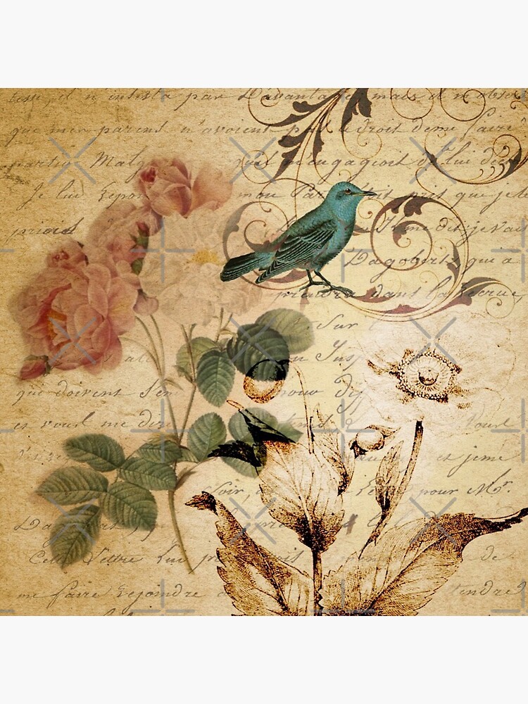 modern vintage rose bird paris french botanical art by lfang77