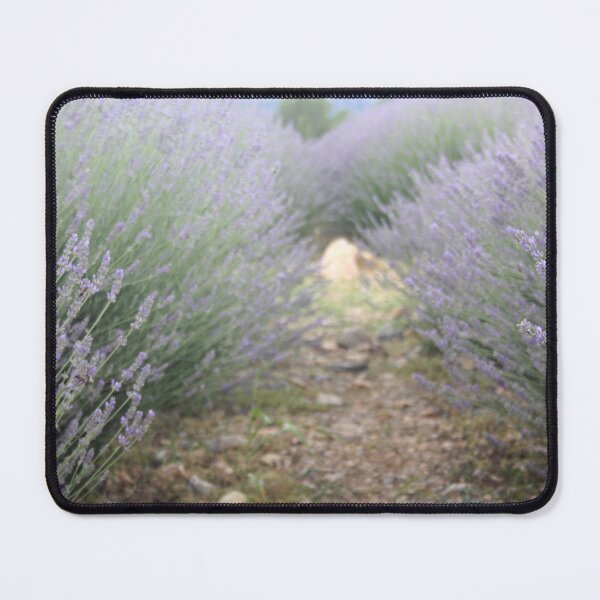 Item preview, The Path Through Lavender Landscape Photograph designed and sold by taiche.