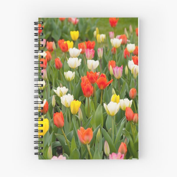 Item preview, Tulips mix grow in garden designed and sold by Arletta Cwalina.
