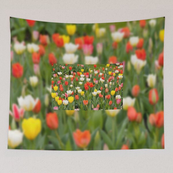 Item preview, Tulips mix grow in garden designed and sold by Arletta Cwalina.