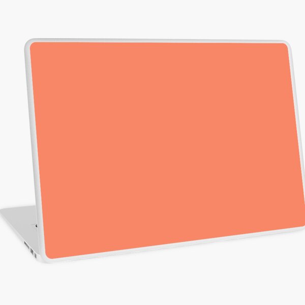 Aperçu de l'œuvre Melon (Orange / Rose) Couleur créée et vendue par quarantine81.