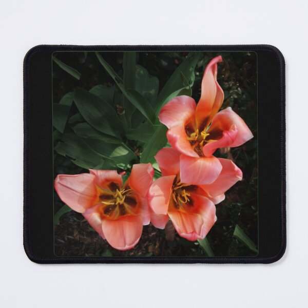 Item preview, Red tulips bouquet - bold photo design designed and sold by kikidu21.