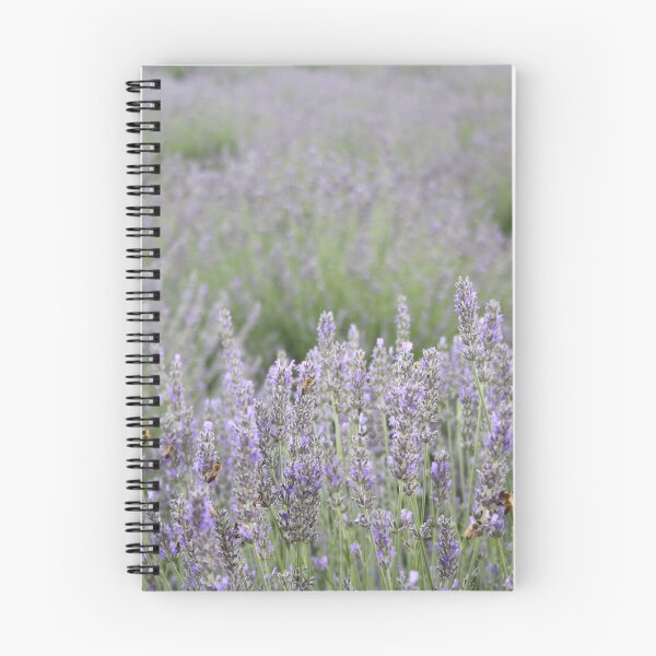 Item preview, Focus On The Foreground Lavender Field Photography designed and sold by taiche.