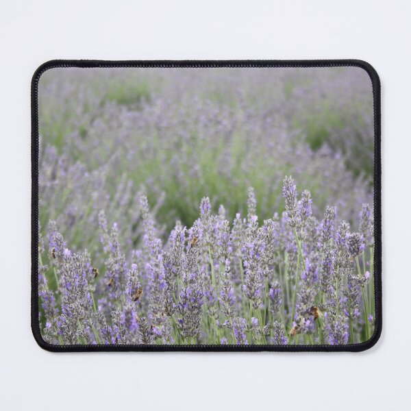 Item preview, Focus On The Foreground Lavender Field Photography designed and sold by taiche.