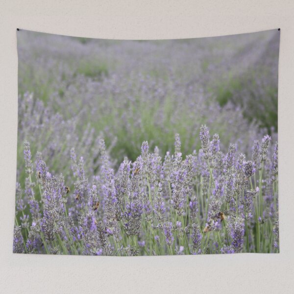 Item preview, Focus On The Foreground Lavender Field Photography designed and sold by taiche.