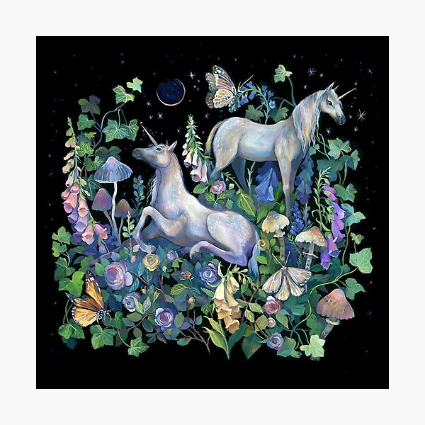 Unicorn Magical Garden Photographic Print