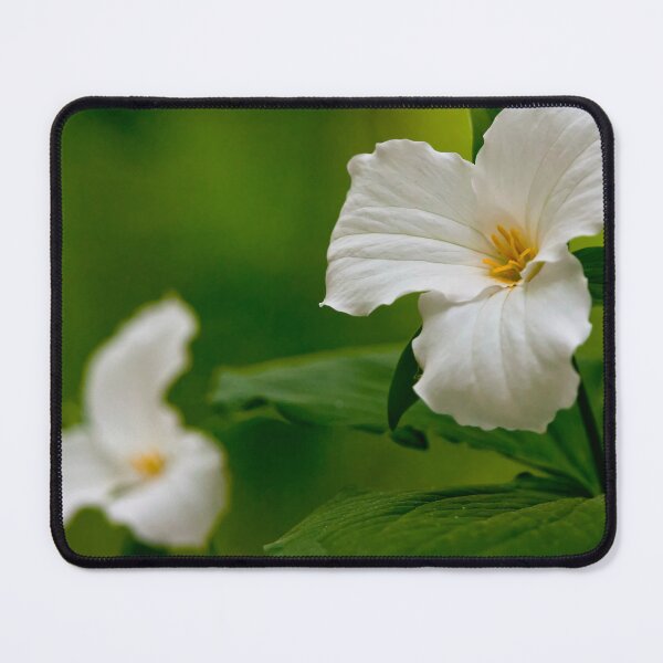 Item preview, White Trillium designed and sold by Michael Cummings.