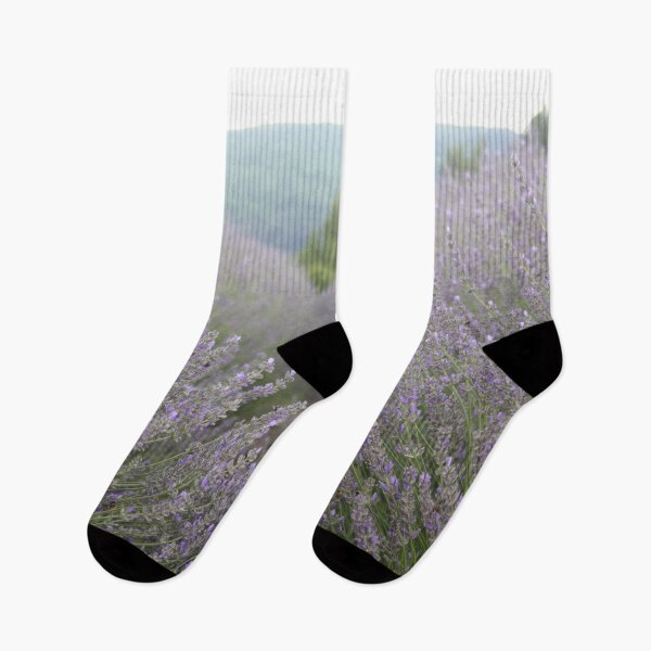 Item preview, Luscious Lavender Fields Landscape Photography designed and sold by taiche.