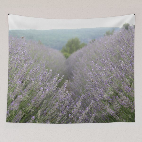Item preview, Luscious Lavender Fields Landscape Photography designed and sold by taiche.