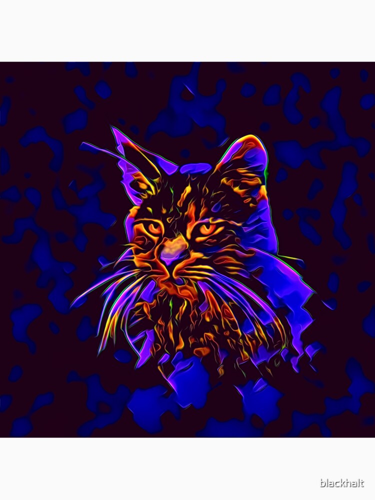 Cat by blackhalt