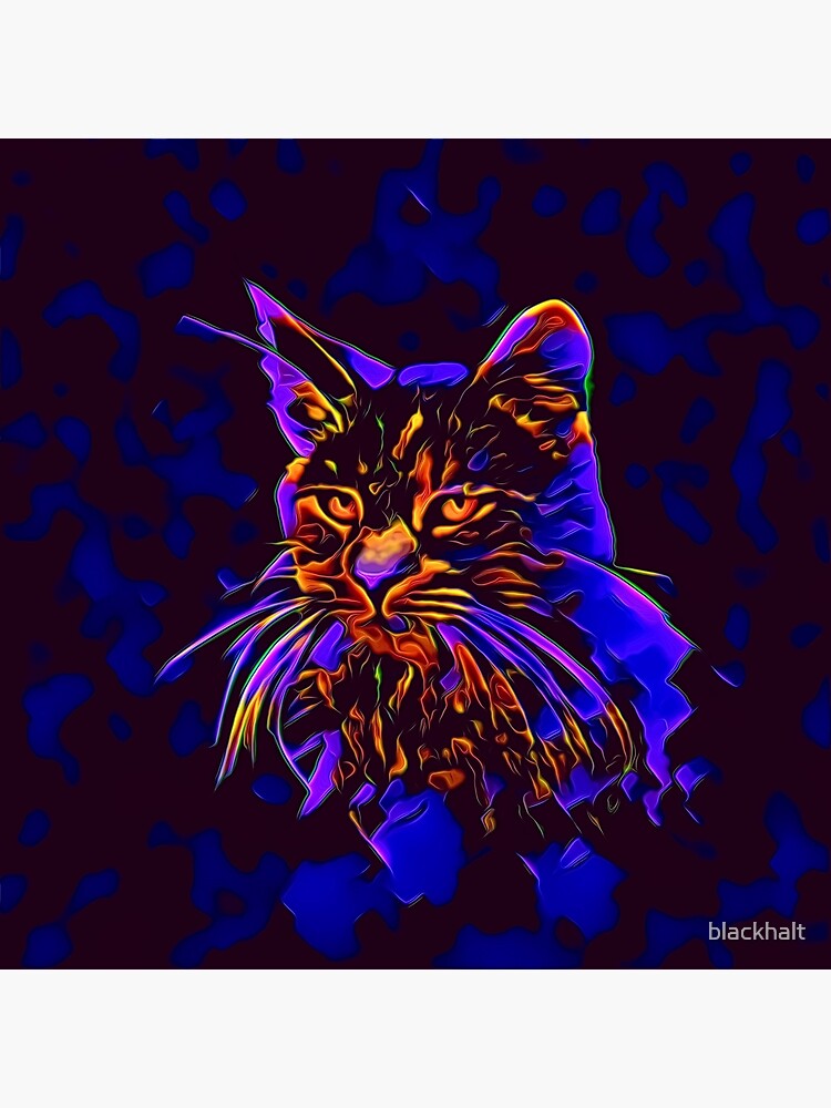 Cat by blackhalt
