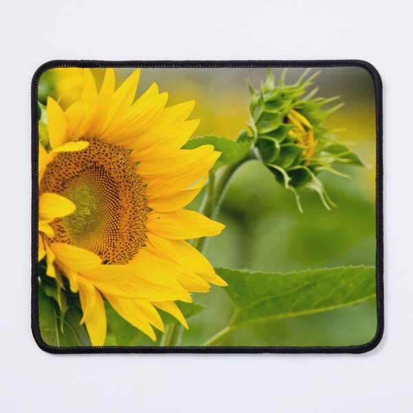 Item preview, Sunflower designed and sold by Michael Cummings.