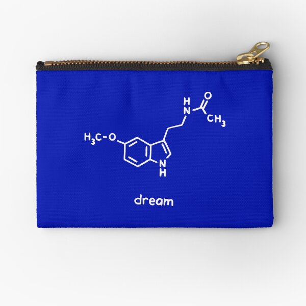 Dream Chemistry Molecule Zipper Pouch