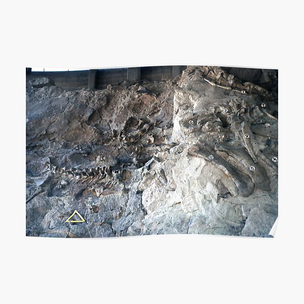 "Vintage Dinosaur National Monument" Poster for Sale by BGPickers