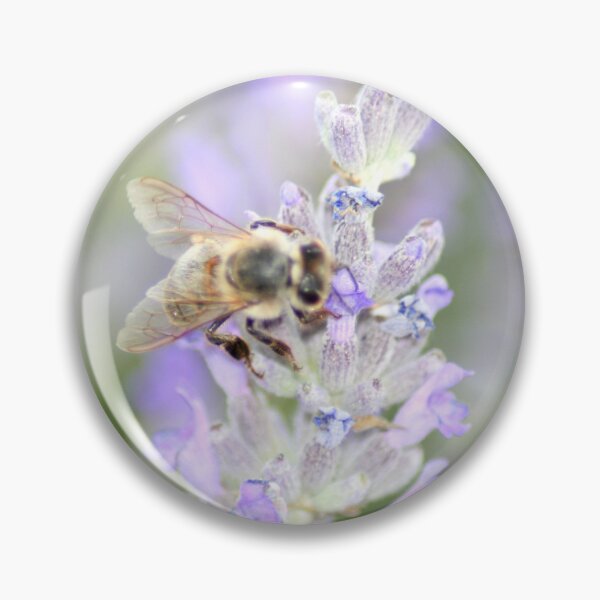 Item preview, Honey Bee Close Up On Lavender Nature Photography designed and sold by taiche.