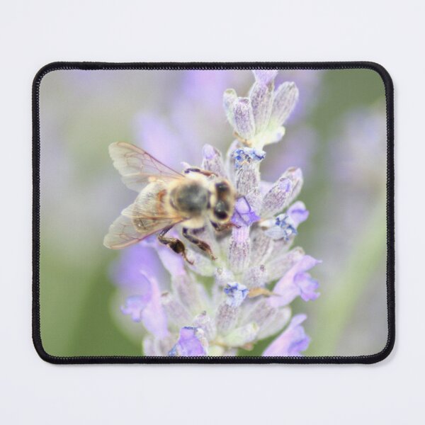 Item preview, Honey Bee Close Up On Lavender Nature Photography designed and sold by taiche.