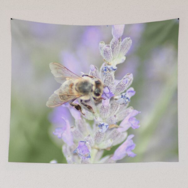 Item preview, Honey Bee Close Up On Lavender Nature Photography designed and sold by taiche.