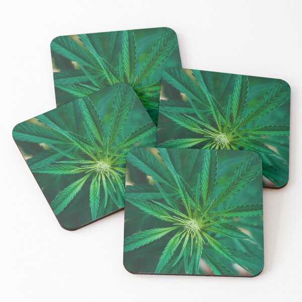 Item preview, Ganja designed and sold by Жека Чаговец.