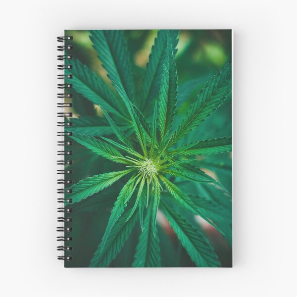 Item preview, Ganja designed and sold by Жека Чаговец.
