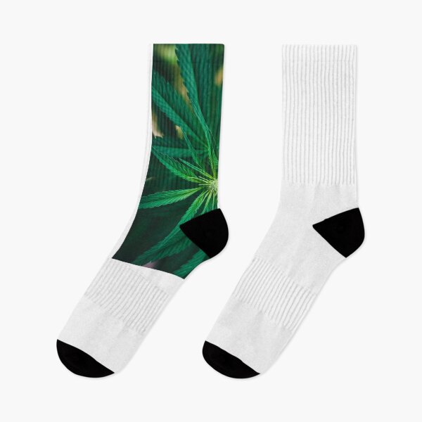 Item preview, Ganja designed and sold by Жека Чаговец.