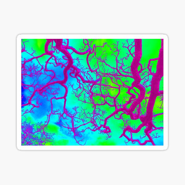 Rainbow Tree 3 Sticker