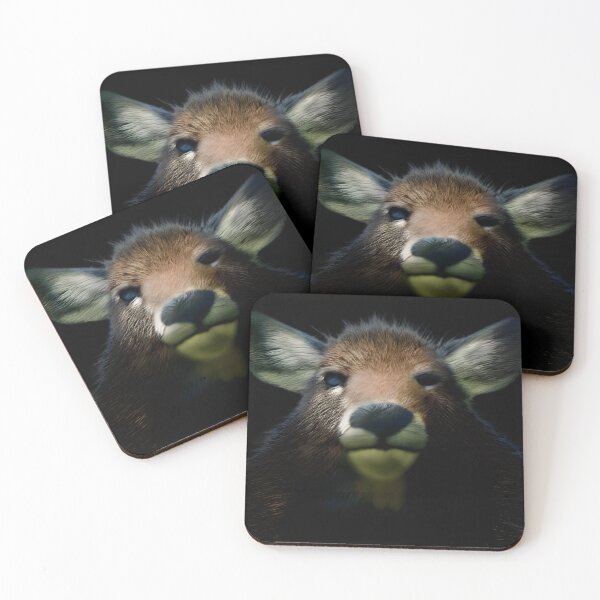 Item preview, Funny Deer Portrait- Original Photograph designed and sold by TheMashupArtist.