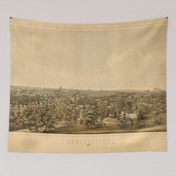 Item preview, Springfield, Massachusetts (1850) designed and sold by allhistory.
