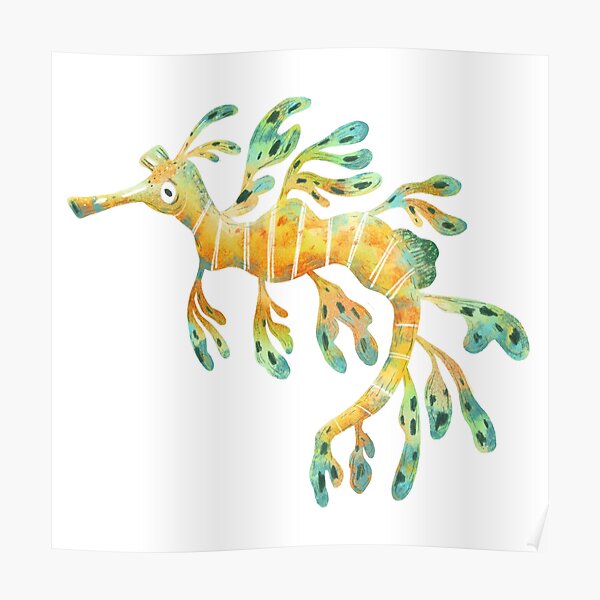 Leafy Seadragon Poster