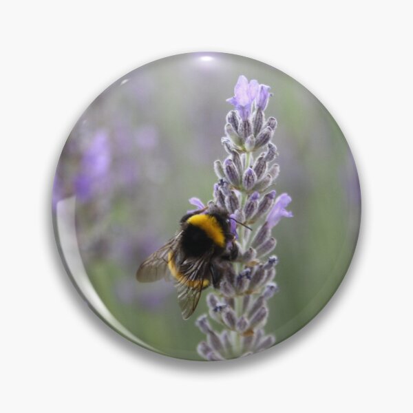 Item preview, Bumblebee On Lavender Close Up Photograph designed and sold by taiche.