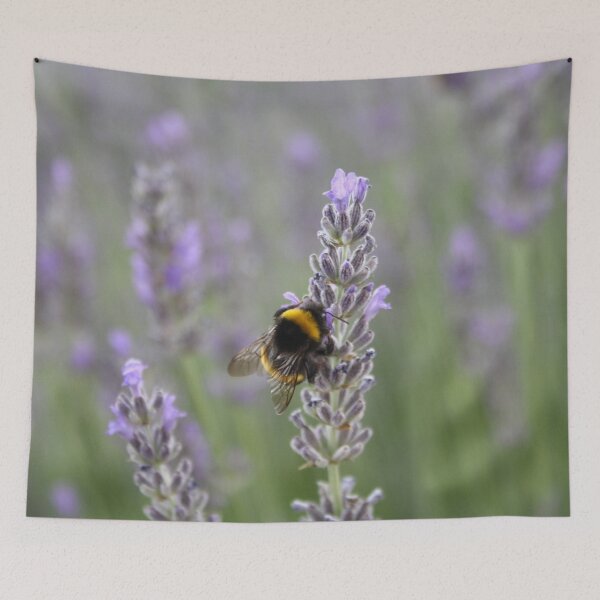 Item preview, Bumblebee On Lavender Close Up Photograph designed and sold by taiche.